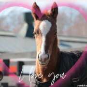 ヒメ日記 2025/07/01 22:36 投稿 本上 松戸おかあさん