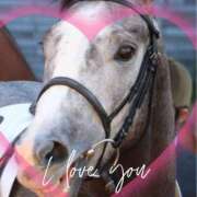 ヒメ日記 2025/07/07 12:20 投稿 本上 松戸おかあさん