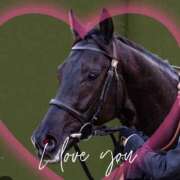 ヒメ日記 2025/07/08 08:27 投稿 本上 松戸おかあさん