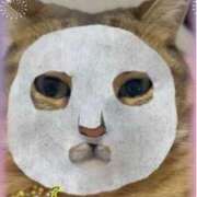 ヒメ日記 2025/07/09 19:26 投稿 本上 松戸おかあさん