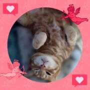 ヒメ日記 2025/07/15 09:00 投稿 本上 松戸おかあさん