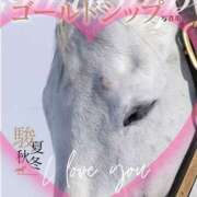 ヒメ日記 2025/07/19 13:25 投稿 本上 松戸おかあさん