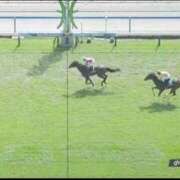 ヒメ日記 2025/07/20 17:05 投稿 本上 松戸おかあさん