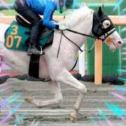 ヒメ日記 2025/07/25 16:45 投稿 本上 松戸おかあさん