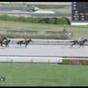 ヒメ日記 2025/07/27 18:32 投稿 本上 松戸おかあさん