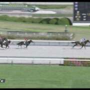 ヒメ日記 2025/07/27 21:45 投稿 本上 松戸おかあさん