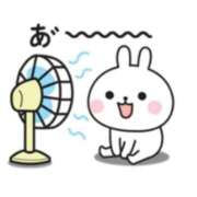 ヒメ日記 2025/07/29 20:42 投稿 本上 松戸おかあさん