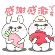 ヒメ日記 2025/07/30 23:57 投稿 本上 松戸おかあさん