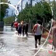 ヒメ日記 2025/08/13 10:15 投稿 本上 松戸おかあさん