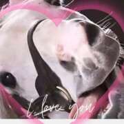 ヒメ日記 2025/08/14 19:35 投稿 本上 松戸おかあさん