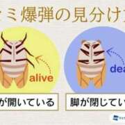 ヒメ日記 2025/08/23 17:51 投稿 本上 松戸おかあさん