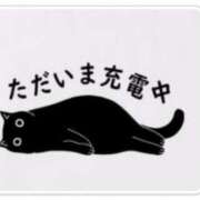 ヒメ日記 2025/08/26 11:21 投稿 本上 松戸おかあさん