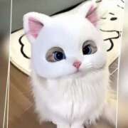 ヒメ日記 2025/09/05 17:15 投稿 本上 松戸おかあさん