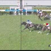 ヒメ日記 2025/09/07 16:05 投稿 本上 松戸おかあさん