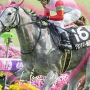 ヒメ日記 2025/09/08 11:05 投稿 本上 松戸おかあさん