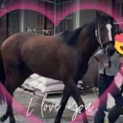 ヒメ日記 2025/09/12 11:43 投稿 本上 松戸おかあさん