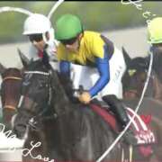 ヒメ日記 2025/09/14 16:55 投稿 本上 松戸おかあさん