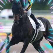 ヒメ日記 2025/09/15 11:45 投稿 本上 松戸おかあさん