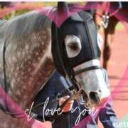 ヒメ日記 2025/09/16 22:29 投稿 本上 松戸おかあさん