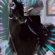 ヒメ日記 2025/09/24 10:57 投稿 本上 松戸おかあさん