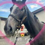 ヒメ日記 2025/10/12 12:06 投稿 本上 松戸おかあさん