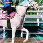 ヒメ日記 2025/10/12 12:32 投稿 本上 松戸おかあさん