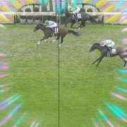 ヒメ日記 2025/10/19 15:58 投稿 本上 松戸おかあさん