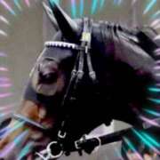 ヒメ日記 2025/10/30 15:30 投稿 本上 松戸おかあさん