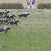 ヒメ日記 2025/11/02 16:15 投稿 本上 松戸おかあさん