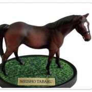 ヒメ日記 2025/11/05 13:15 投稿 本上 松戸おかあさん