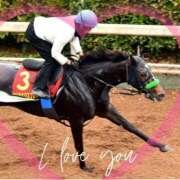 ヒメ日記 2025/11/06 11:55 投稿 本上 松戸おかあさん