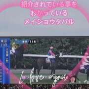 ヒメ日記 2025/11/08 17:25 投稿 本上 松戸おかあさん