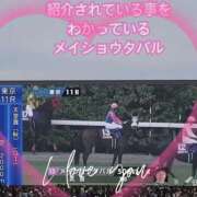 ヒメ日記 2025/11/08 17:16 投稿 本上 松戸おかあさん