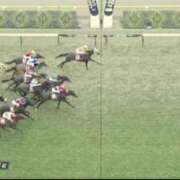 ヒメ日記 2025/11/09 16:25 投稿 本上 松戸おかあさん