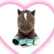 ヒメ日記 2025/11/10 06:55 投稿 本上 松戸おかあさん