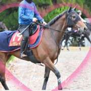 ヒメ日記 2025/11/12 12:53 投稿 本上 松戸おかあさん