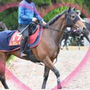 ヒメ日記 2025/11/12 12:55 投稿 本上 松戸おかあさん