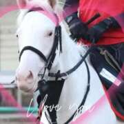 ヒメ日記 2025/11/15 17:05 投稿 本上 松戸おかあさん