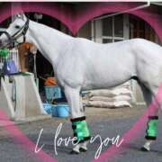 ヒメ日記 2025/11/19 12:15 投稿 本上 松戸おかあさん