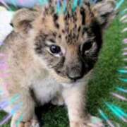 ヒメ日記 2025/11/20 10:48 投稿 本上 松戸おかあさん