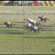 ヒメ日記 2025/11/23 15:53 投稿 本上 松戸おかあさん