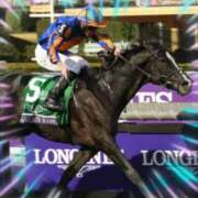 ヒメ日記 2025/11/25 20:54 投稿 本上 松戸おかあさん