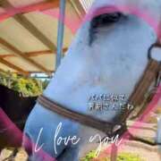 ヒメ日記 2025/11/30 12:31 投稿 本上 松戸おかあさん