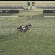 ヒメ日記 2025/11/30 16:25 投稿 本上 松戸おかあさん