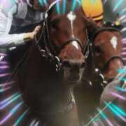 ヒメ日記 2025/12/01 10:40 投稿 本上 松戸おかあさん