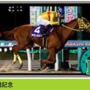 ヒメ日記 2025/12/02 10:45 投稿 本上 松戸おかあさん