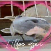 ヒメ日記 2025/12/02 10:55 投稿 本上 松戸おかあさん