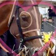 ヒメ日記 2025/12/04 12:14 投稿 本上 松戸おかあさん