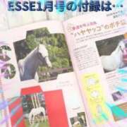 ヒメ日記 2025/12/04 16:11 投稿 本上 松戸おかあさん