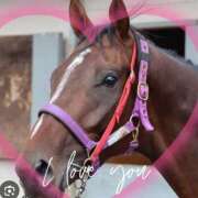 ヒメ日記 2025/12/06 14:51 投稿 本上 松戸おかあさん